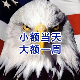 界首要账公司